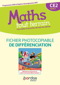 Maths Tout Terrain CE2 2020 Fichier Photocopiable de Differenciation