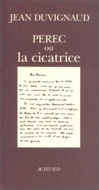 Perec ou La cicatrice