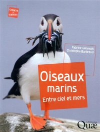 Oiseaux marins : Entre ciel et mers