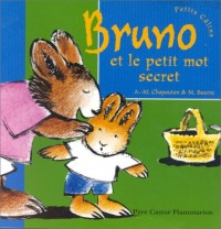 BRUNO ET LE PETIT MOT SECRET