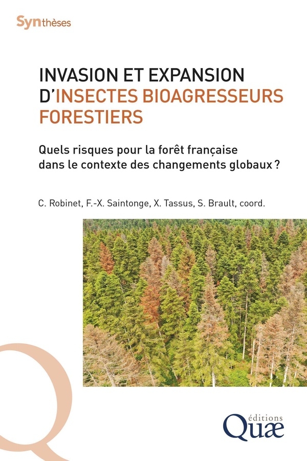 Invasion et expansion d'insectes bioagresseurs forestiers: Quels risques pour la forêt française dans le contexte des changements globaux ?