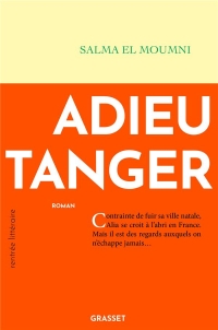 Adieu Tanger: Premier roman