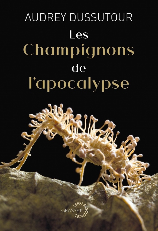 Les champignons de l'apocalypse: Collection Terres et Sciences dirigée par Mathieu Vidard