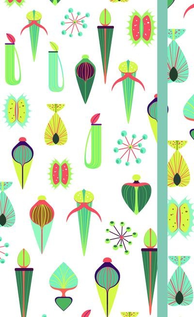 Agenda 2019 Plantes grasses