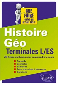 Histoire Géo Terminales L/ES 38 Fiches-Méthodes pour Comprendre le Cours