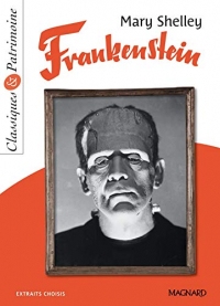 Frankenstein - Classiques et Patrimoine (Classiques & Patrimoine)