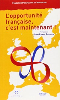 L'Opportunite Française, C'Est Maintenant