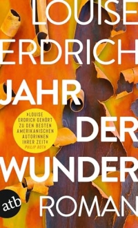 Jahr der Wunder: Roman