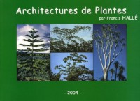 Architecture de plantes