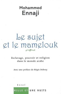 Le sujet et le mamelouk : Esclavage, pouvoir et religion dans le monde arabe