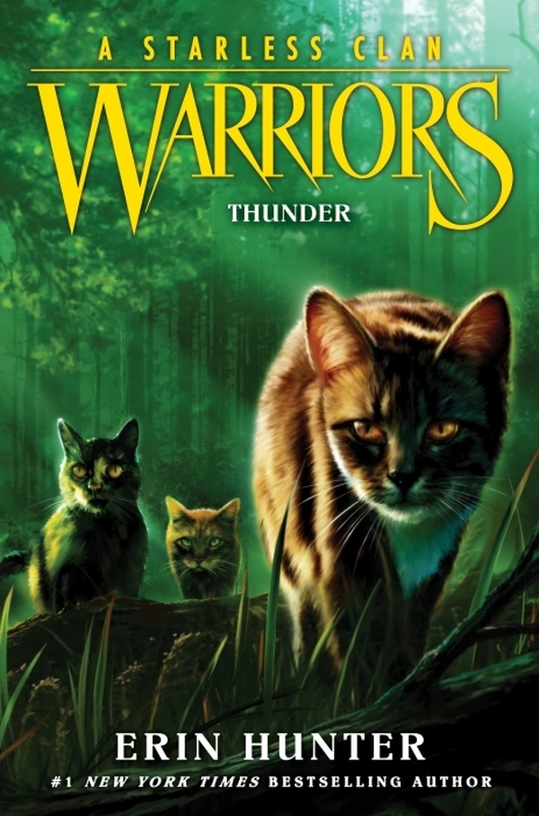 Warriors: A Starless Clan #4: Thunder [9780063050273]
