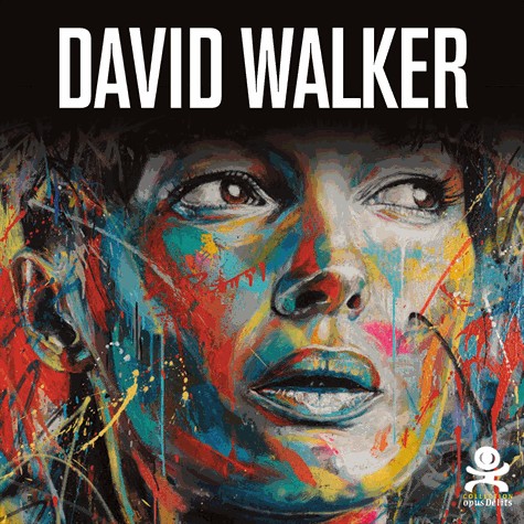 David Walker : Beautiful Chaos