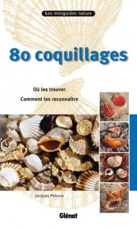 80 coquillages