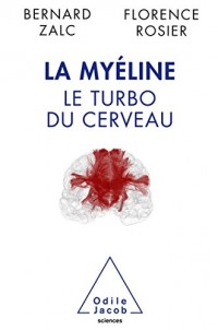 La Myéline: Le turbo du cerveau