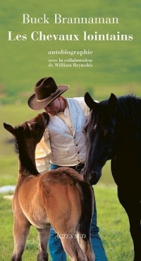 Les chevaux lointains