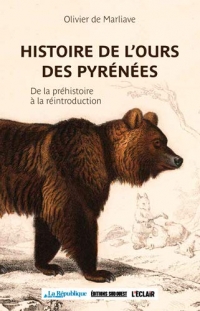 Histoire de l'ours des Pyrénées : De la préhistoire à la réintroduction