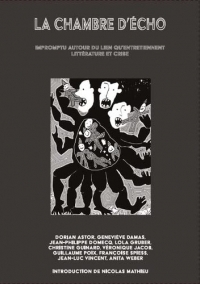 La chambre d'écho : Impromptu autour du lien qu'entretiennent littérature et crise