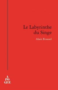 Le labyrinthe du singe