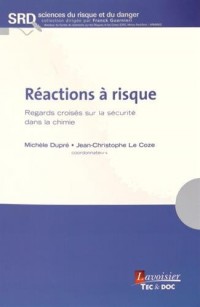 Réactions à risque : Regards croisés sur la sécurité dans la chimie