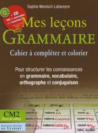 Mes leçons de grammaire : CM2-Bases du collège (1Cédérom)