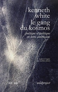 Le Gang du Kosmos, Poétique et politique en terre américaine