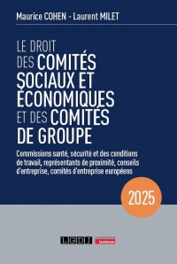 Le droit des comités sociaux et économiques et des comités de groupe (CSE): Commissions santé, sécurité et des conditions de travail, représentants de ... d'entreprise, comités d'entreprise européens