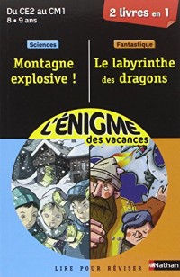 Cahier de vacances  - Enigmes duo Le Labyrinthe des dragons  / Montagne explosive - CE2 - CM1