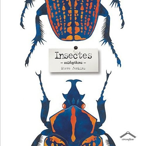 Insectes