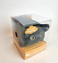 Calinothérapie - Chat tout doux - Réglisse