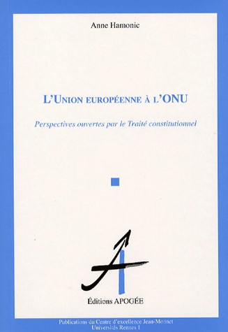 L'Union Européenne à l'ONU : Perspectives ouvertes par le Traité constitutionnel