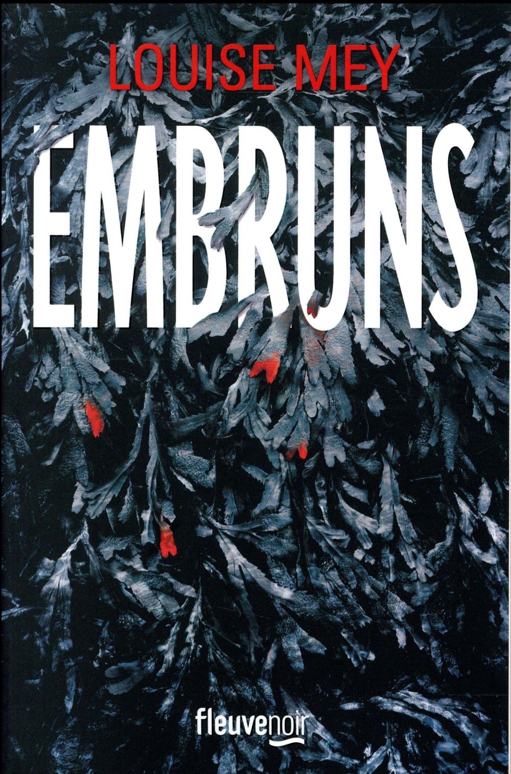 Embruns