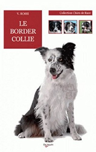 Le Border Collie