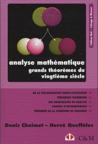 Analyse mathématique. Grands théorèmes du vingtième siècle