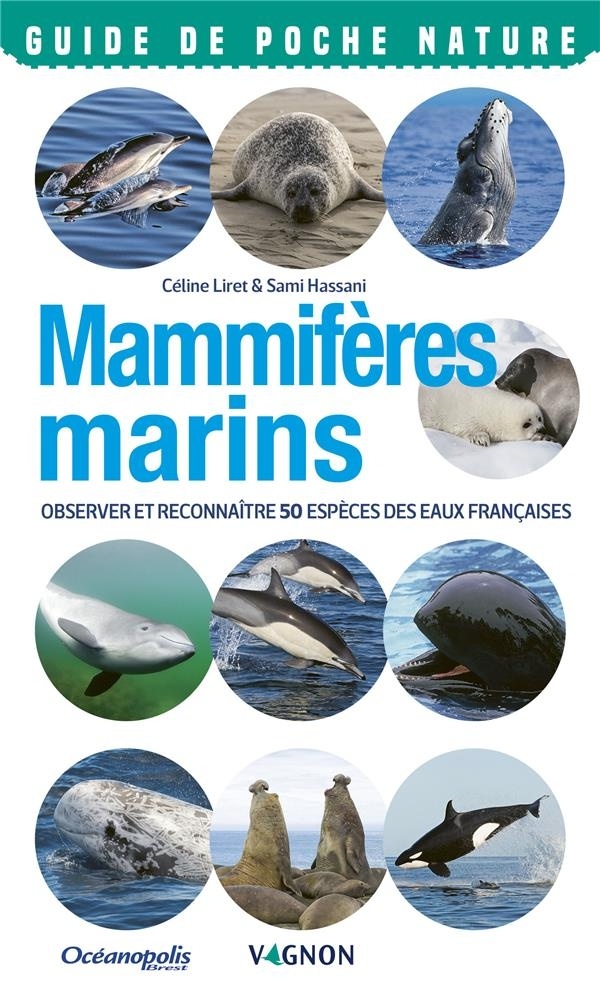 Mammifères marins. Observer et reconnaître 50 espèces des eaux françaises