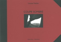 Coupe sombre : Un journal traversé