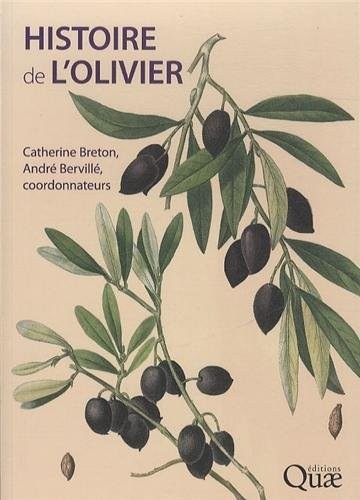 Histoire de l'olivier