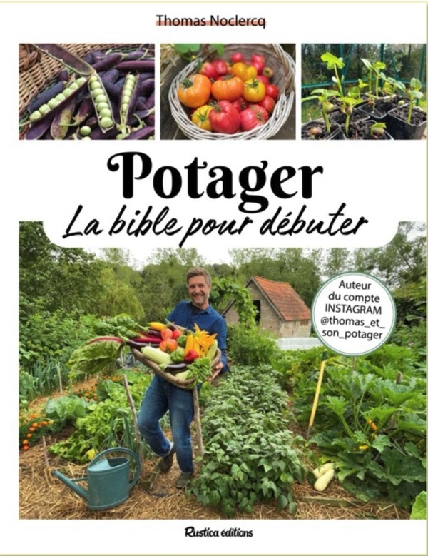 Potager, la bible pour débuter
