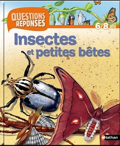 N11 - INSECTES ET PETITES BETE