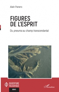 Figures de l'esprit: Du pneuma au champ transcendantal