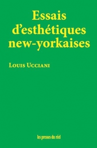 Essais d'esthétiques new-yorkaises