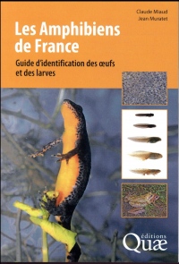 Les amphibiens de France: Guide d'identification des ½ufs et des Larves