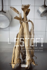 Le plat qui venait du froid : L'estofi