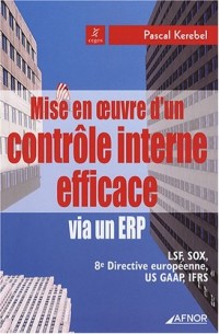 Mise en oeuvre d'un contrôle interne efficace via un ERP