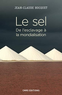 Le sel. De l'esclavage à la mondialisation