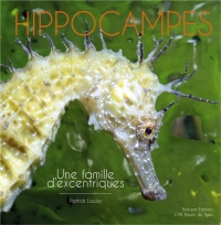 Hippocampes : Une famille d'excentriques
