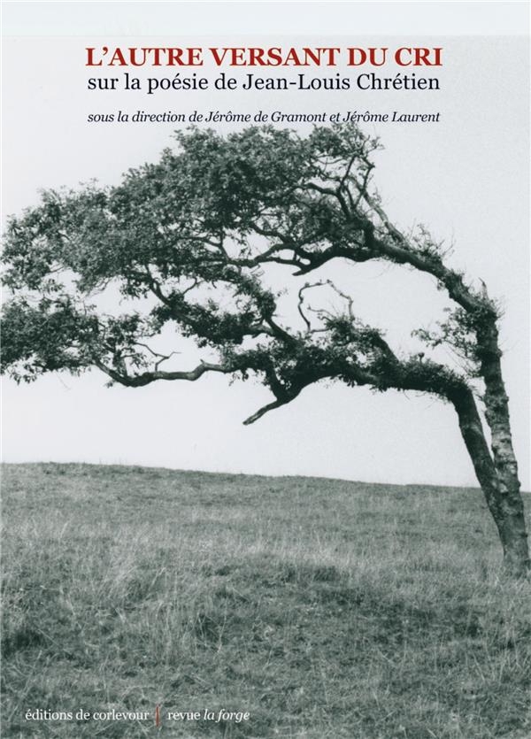 L'autre versant du cri: sur la poésie de Jean-Louis Chrétien