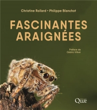 FASCINANTES ARAIGNEES