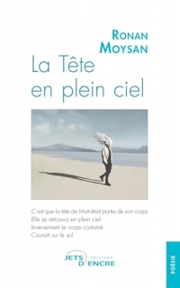 La Tête en plein ciel