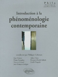 Introduction à la phénoménologie contemporaine