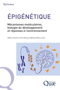 Épigénétique: Mécanismes moléculaires, développement et réponses à l'environnement